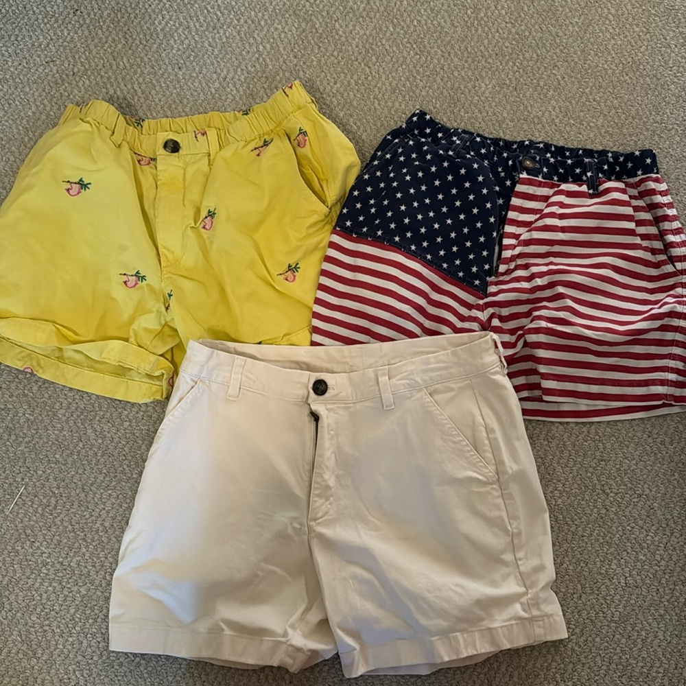 Lot of 3 CHUBBIES shorts - Medium size 32